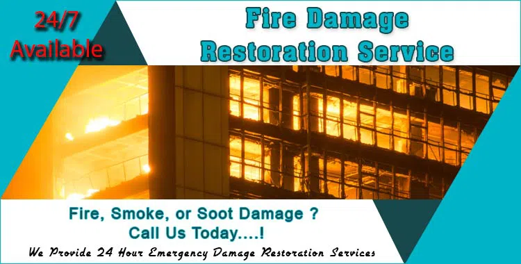 #bslide1 logo-image - Banner-01